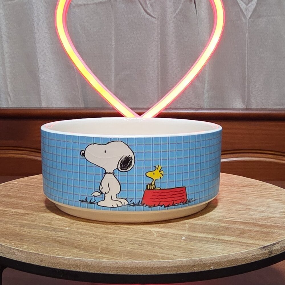 Gibson Peanuts Snoopy Woodstock Dolomite Pet Bowl PS ALL GONE White Blue Red